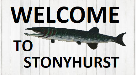 Welcome to Stonyhurs
